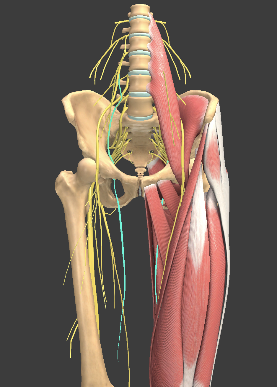 <p>What structure is shown?</p>