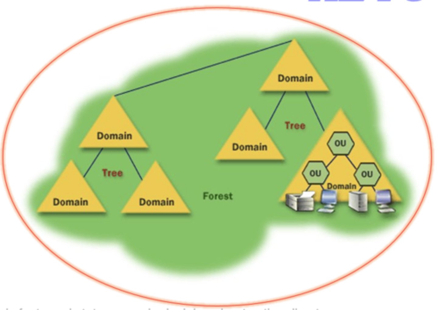 <p>A set of one or more domain trees that do not form a contiguous (common border) namespace.</p>