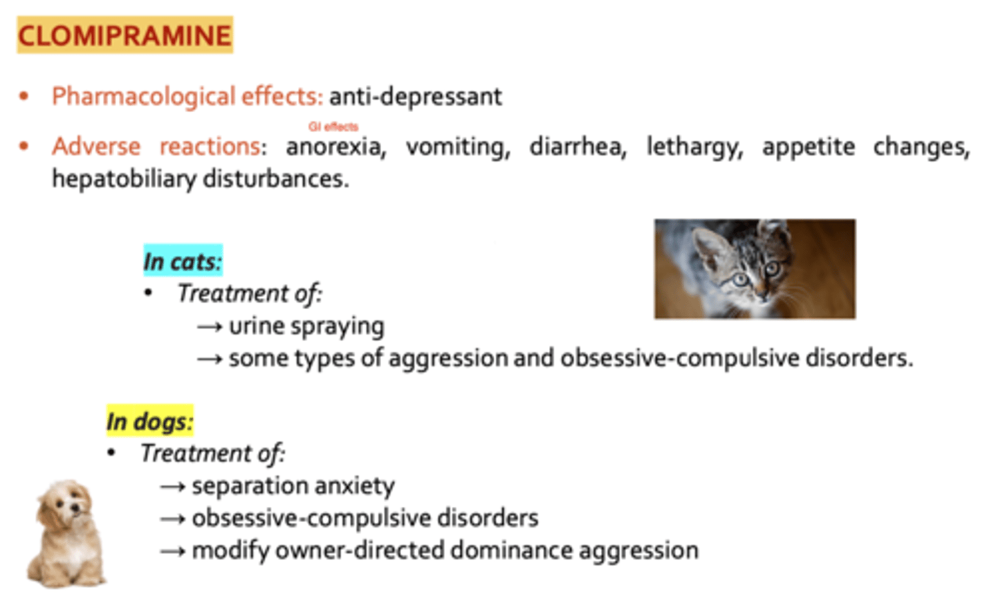 <p>used as an adjunct to behavior modification programs, especially in longstanding and severe anxiety</p><p>Cats: treatment of urine spraying, aggression, obsessive compulsive disorders</p><p>Dogs: treatment of separation anxiety, obsessive compulsive disorders, and to modify owner-directed dominance aggression</p>