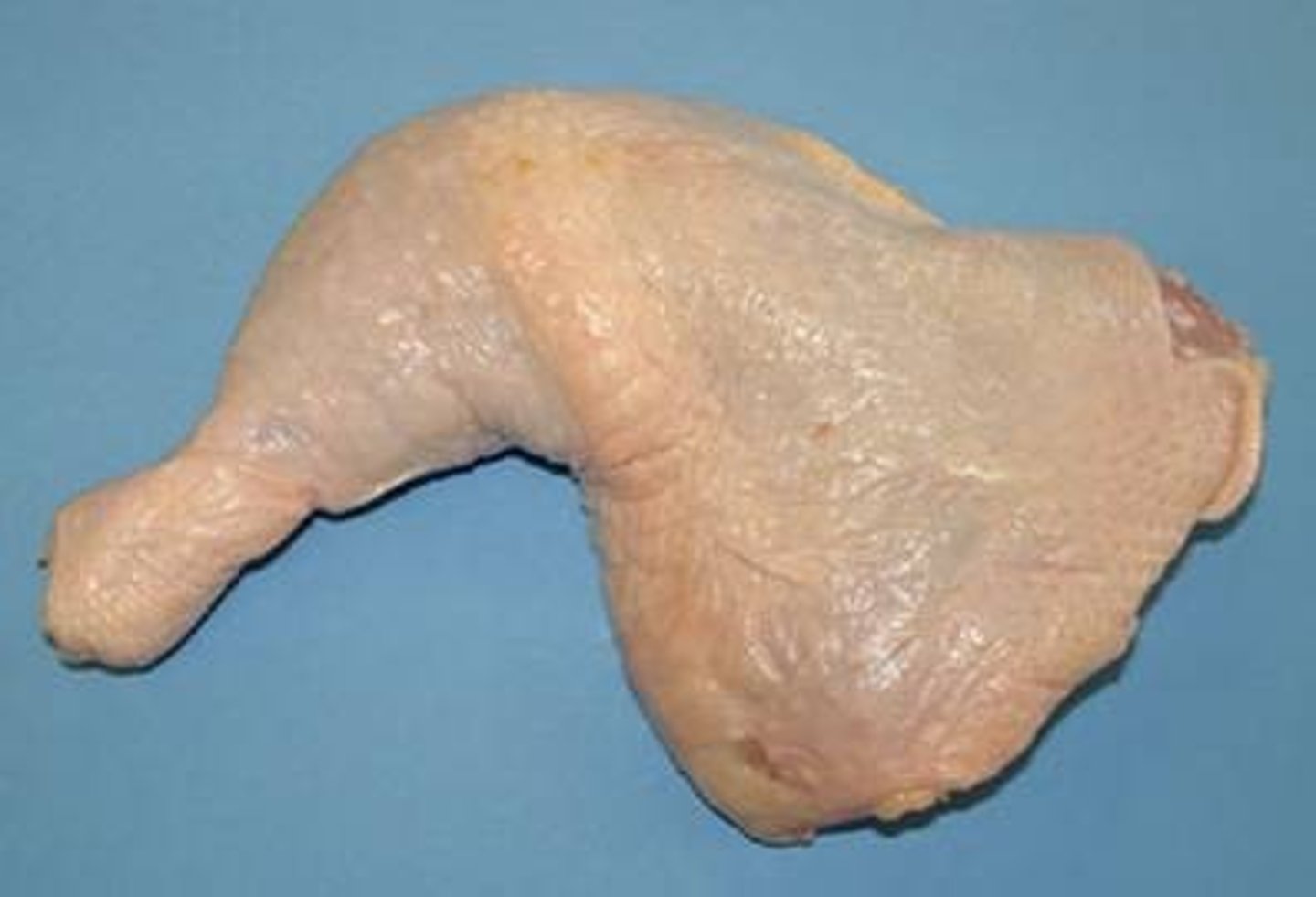 <p>(n) gà góc tư</p>