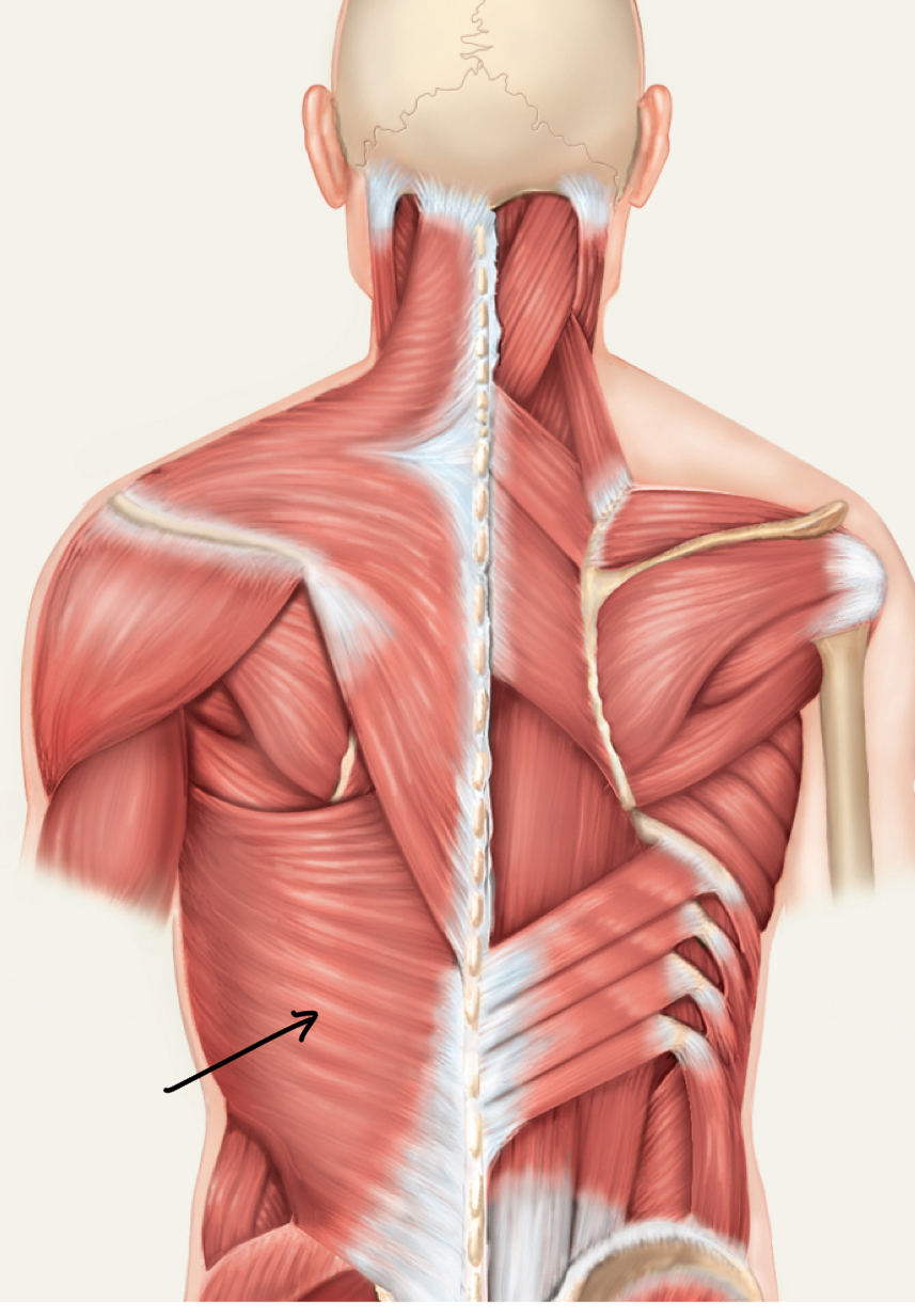 <p>What m. is this?</p><p>O, I, A, N?</p>