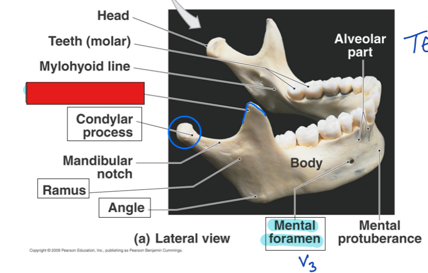 <p>fill in the red box:</p>