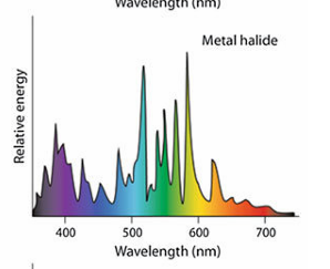 <p>metal halide</p>
