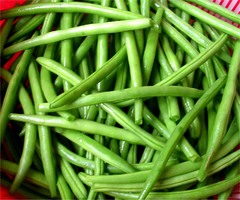 <p>a green bean</p>