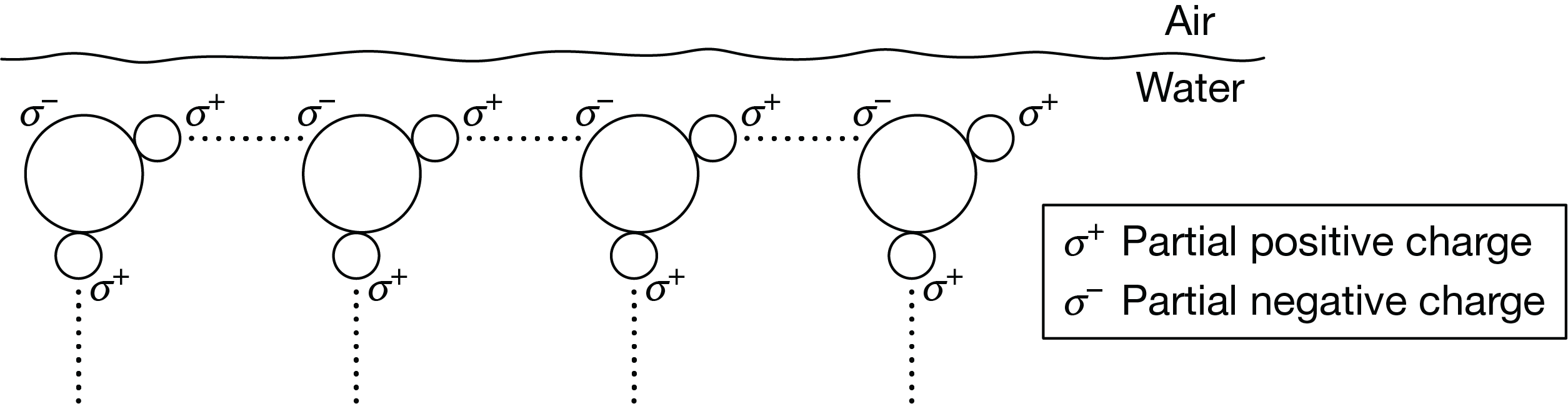 <p><span>Based on Figure 1, which of the following best describes how the properties of water at an air-water interface enable an insect to walk on the water's surface?</span></p>