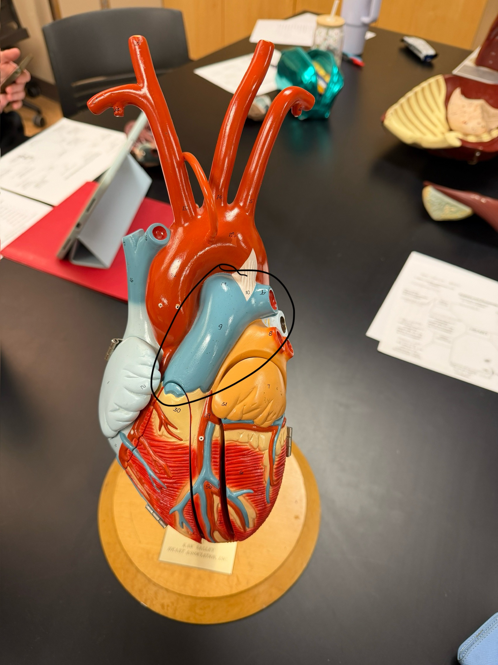 <p>name this structure</p>