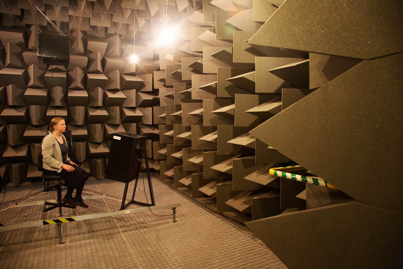 <p>rooms for absorbing surfaces to minimize reflections, like a sound booth = less echos</p>