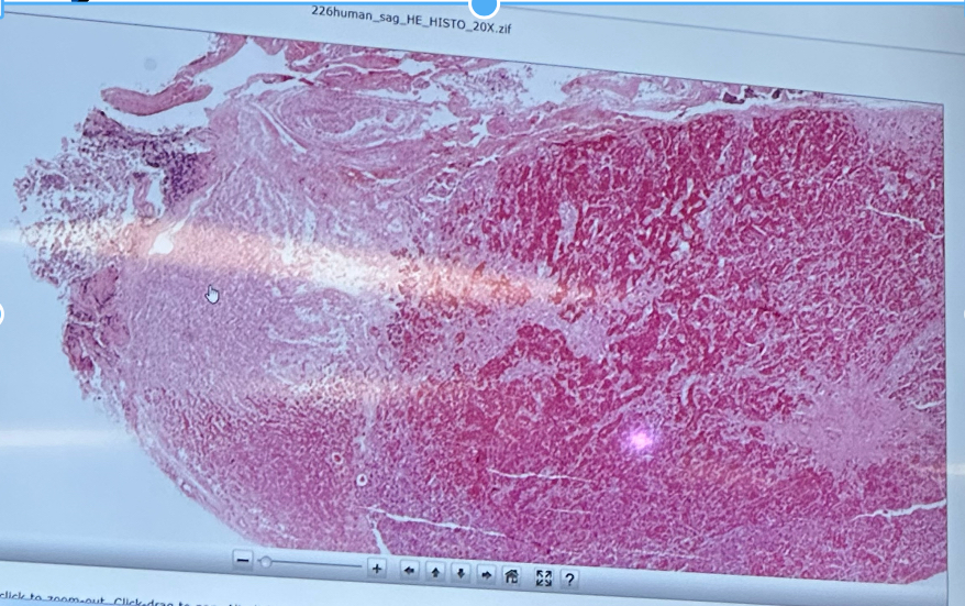 <p><span><span>slide</span></span></p>