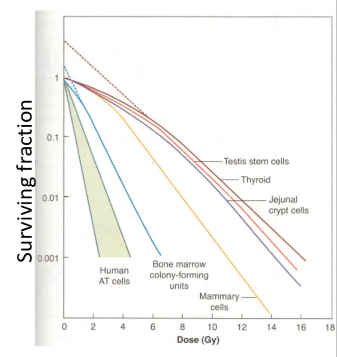 <p>they are all relatively in the same region with exception to bone marrow being far more sensitive to radiation</p>