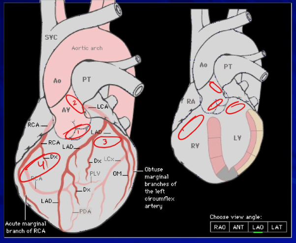 <p>LABEL THEM </p><p></p>