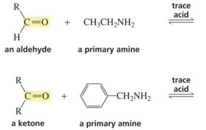 <p>What is formed with:</p><p>Aldehyde/ketone + amine + trace acid</p>
