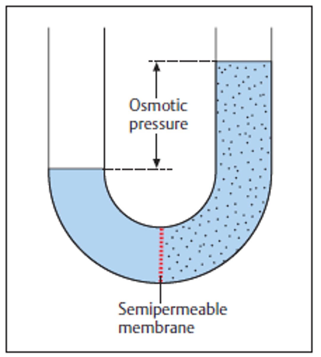 <p>the pressure exerted by solutes that draws water across a semipermeable membrane; high</p>