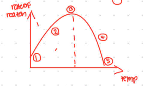 <p>pls explain this temperature graph and label each part yk</p>