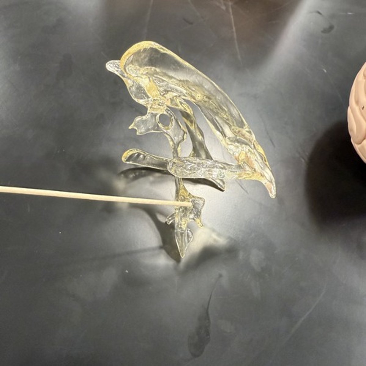 <p>What is this structure?</p>