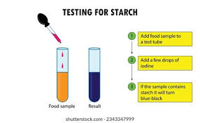 <p><span style="background-color: transparent;"><span>Starch test</span></span></p><p><span style="background-color: transparent;"><span>Reagent: Iodine</span></span></p><p><span style="background-color: transparent;"><span>Positive colour: blue/black</span></span></p><p><span style="background-color: transparent;"><span>Negative colour: orange/brown</span></span><br></p>
