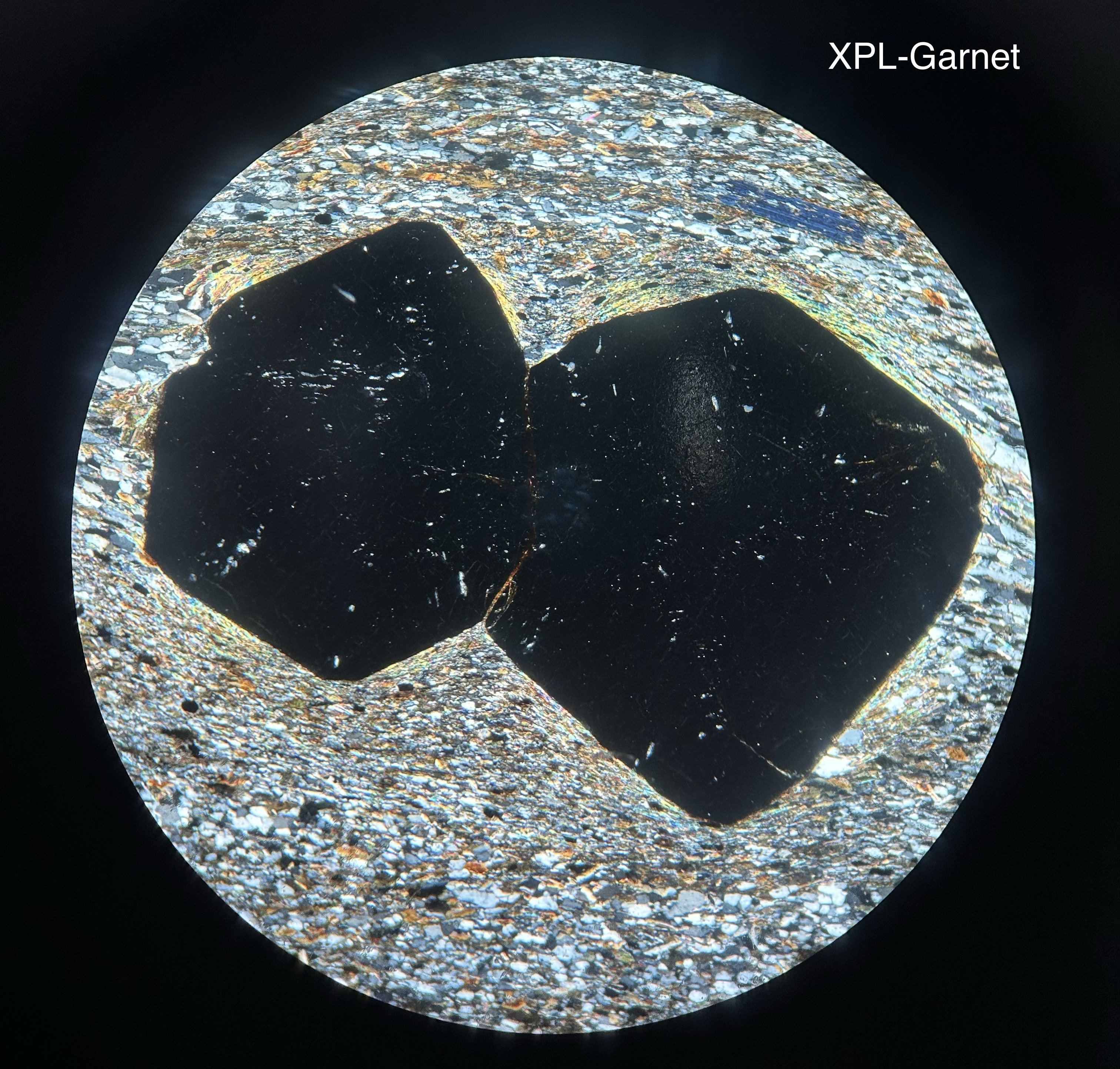 <p>PPL-high relief, black/deep red color, round, irregular fractures</p><p>XPL- isotropic</p>