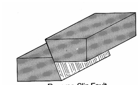 <p>hanging wall moves up</p><ul><li><p>compressional fault</p></li></ul><ul><li><p>more than 45 degree dip</p></li></ul><p></p>