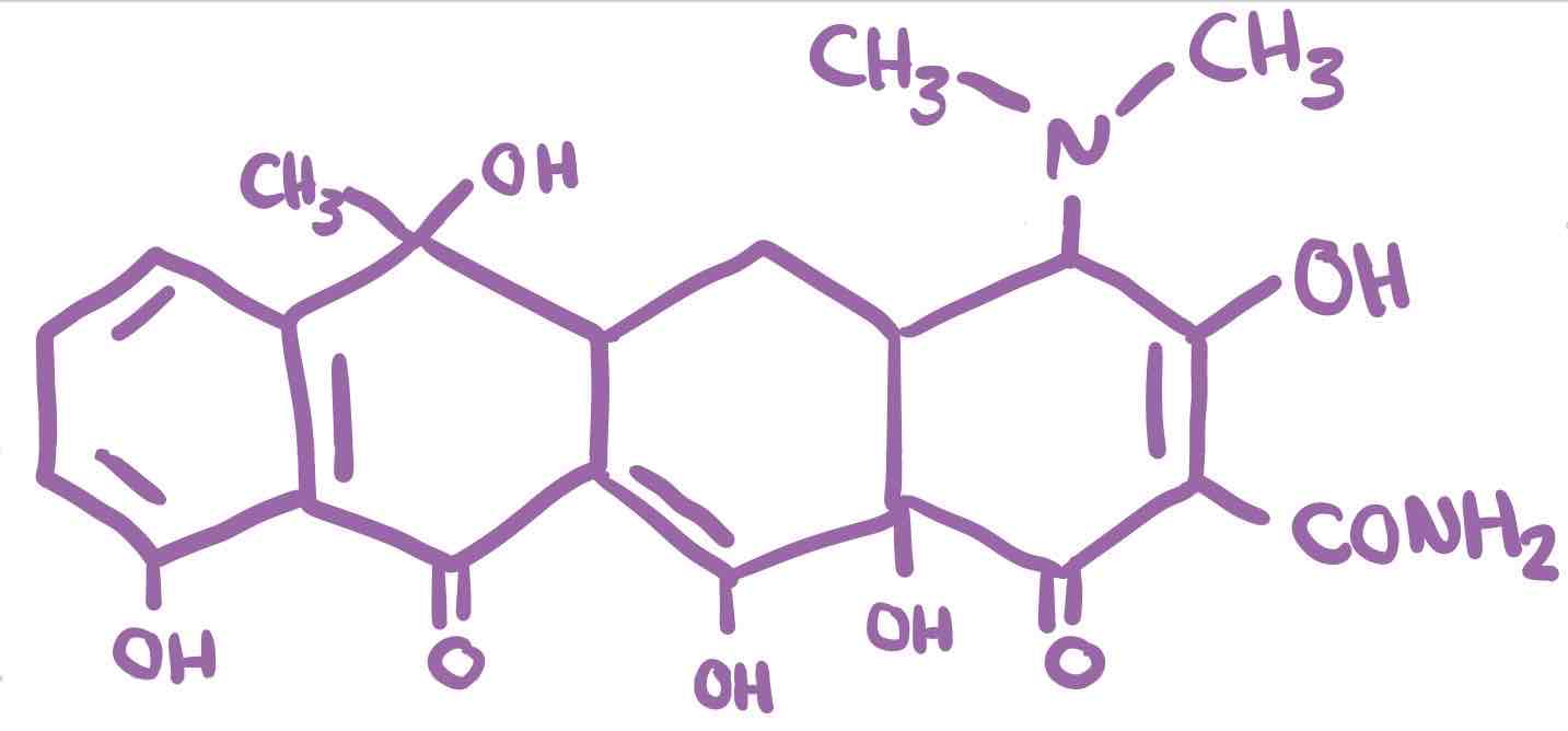<p>Antibacterial </p>