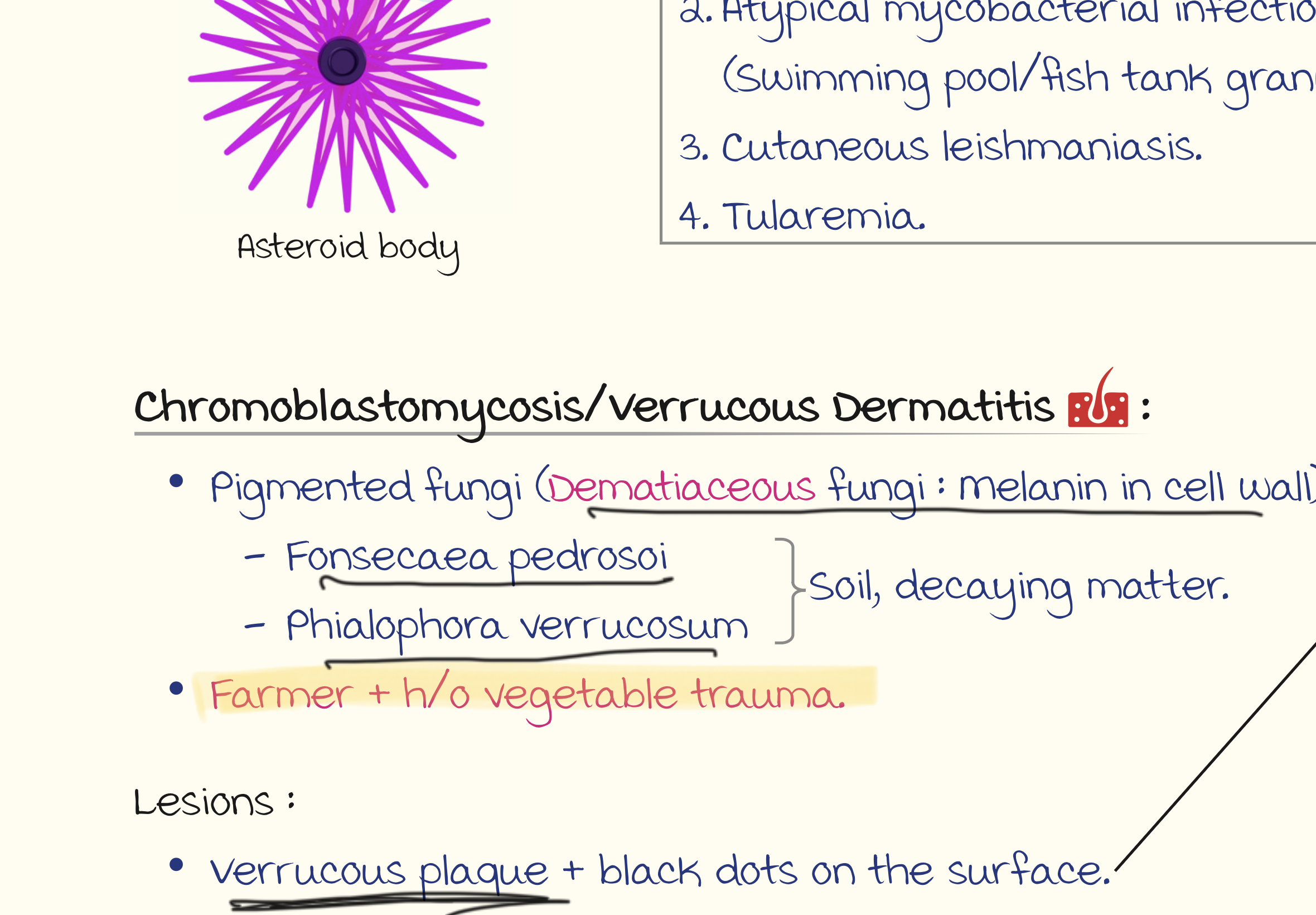 knowt flashcard image