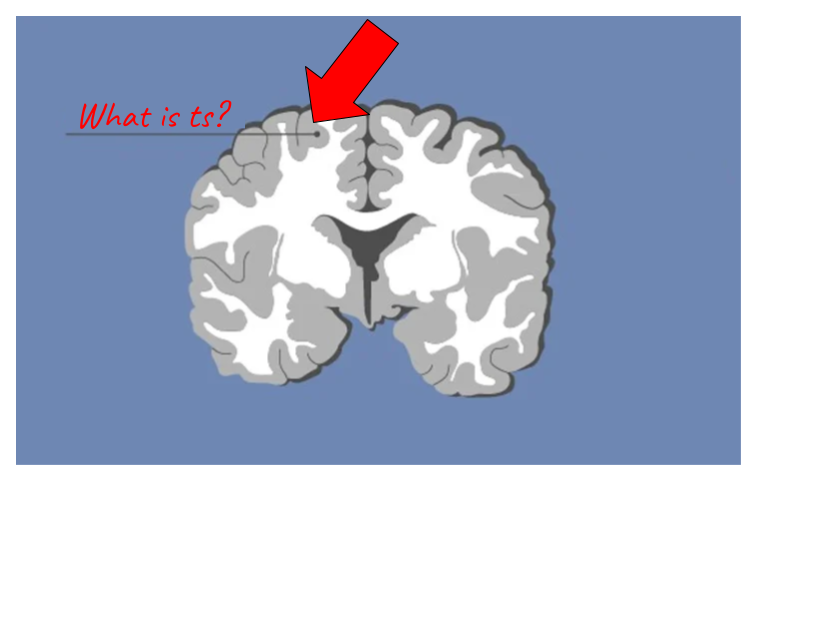 <p>Identify the highlighted region and the textbook definition associated with it</p>