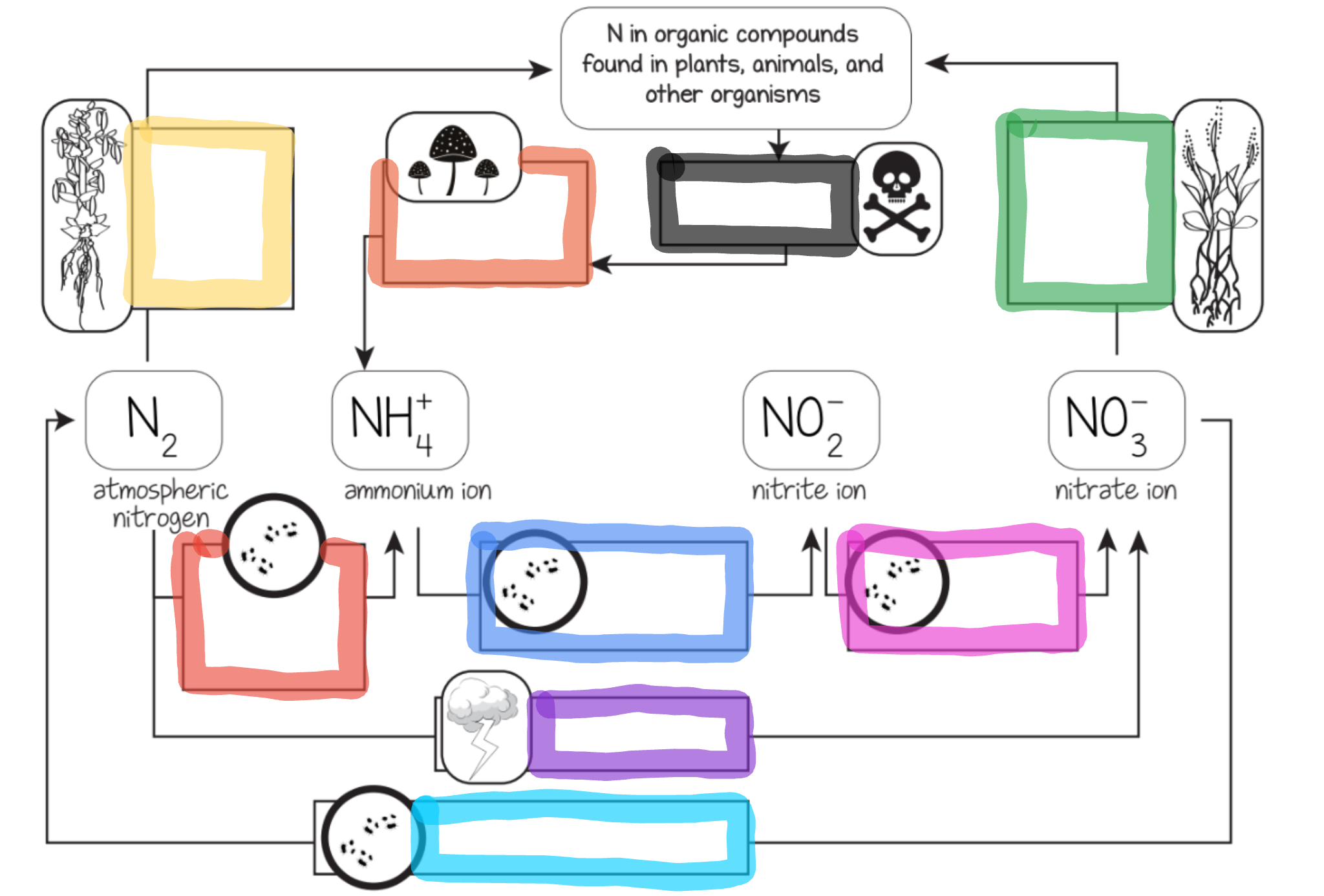 <p>What does the orange box represent? </p>