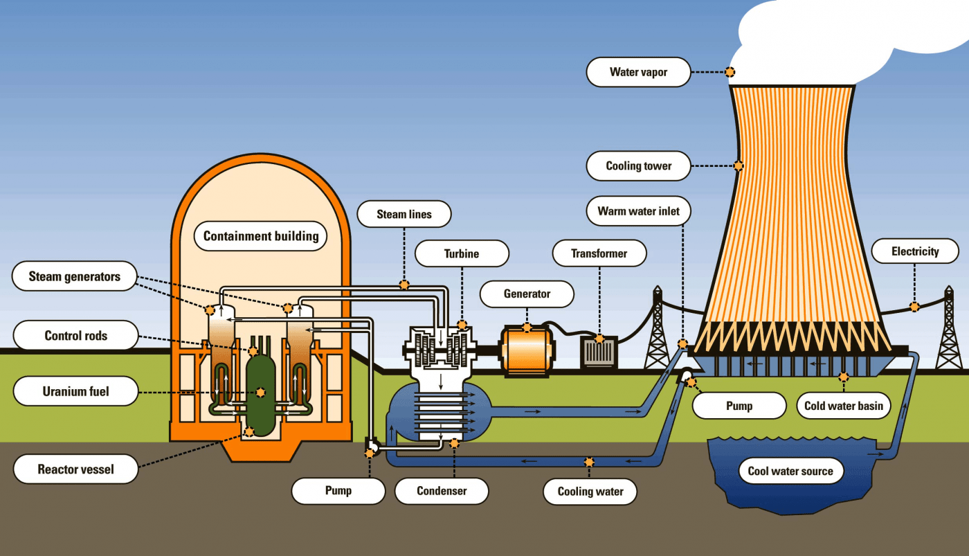 <p>• Reactor core - Contains fuel rods where fission occurs.</p><p>• Control rods - Regulate the fission reaction.</p><p>• Coolant - Transfers heat away from the core.</p><p>• Turbine - Spins to generate electricity.</p><p>• Cooling tower - Releases excess heat.</p>