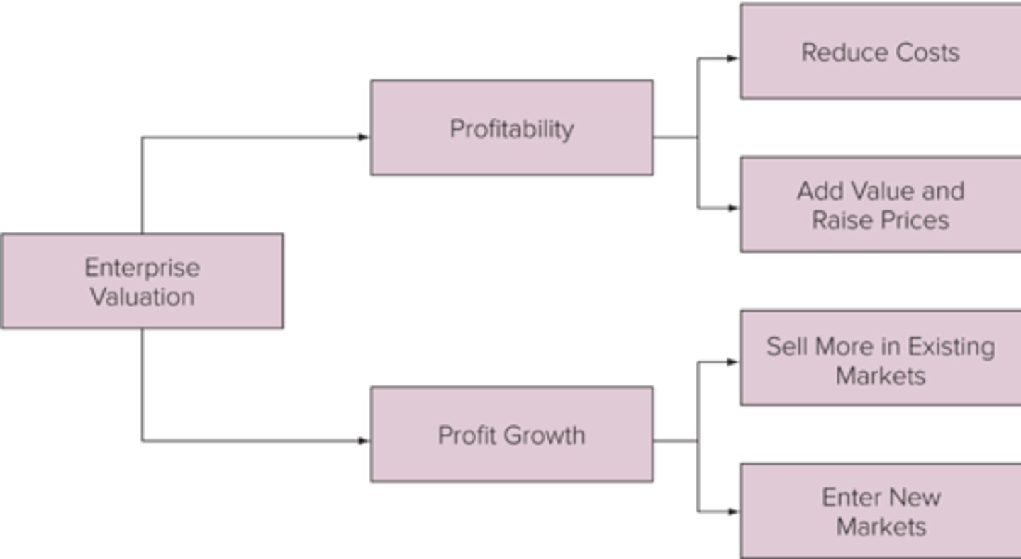 <p>profitability and profit growth</p>