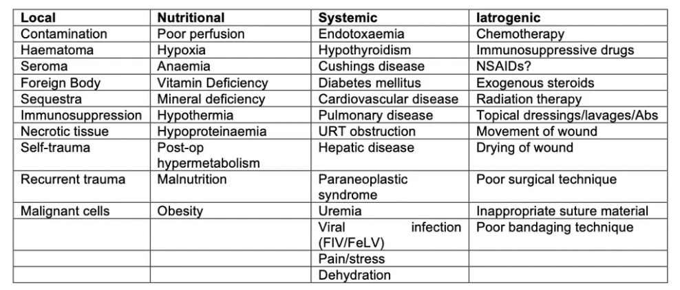 <ol><li><p>Infection</p></li><li><p>Excess motion (horses)</p></li><li><p>Self-mutilation</p></li><li><p>Excess tension</p></li><li><p>Debilitated patient: Systemic disease</p></li><li><p>Recumbency</p></li><li><p>Poor vascularity</p></li></ol><p></p>