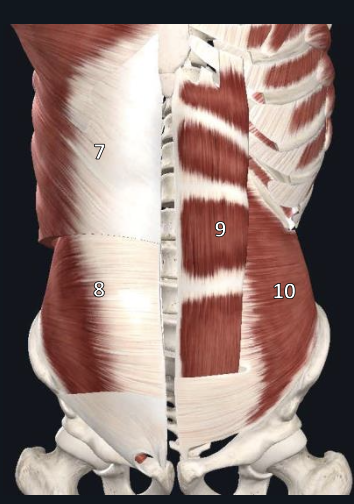 <p>name structure #8</p>