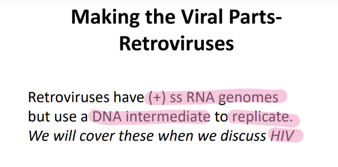 <p>have (+) ss RNA genomes </p><p>use DNA intermediate to replicate </p>