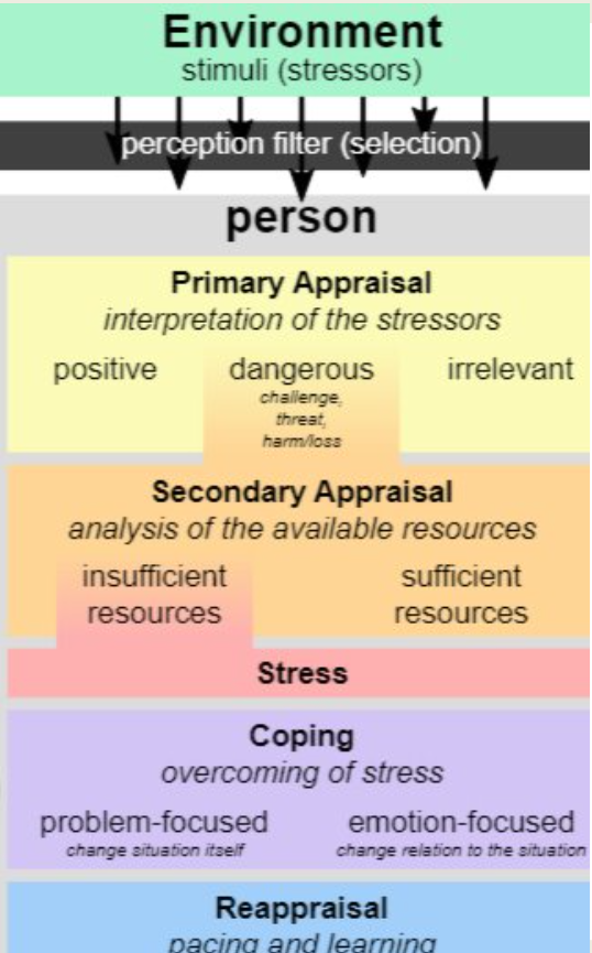 <ul><li><p><span style="color: blue;">Lazarus and Folkman, 1984</span></p></li><li><p>Suggests individuals utilise their <span style="color: blue;">perception of a stressful situation + their subjective past experiences</span> to <span style="color: blue;">help them cope</span></p></li></ul><ul><li><p>Stress response <span style="color: blue;">depends </span>on <span style="color: blue;">emotions and psychological factors unique</span> to the <span style="color: blue;">individual</span></p></li><li><p><span style="color: blue;">Emphasises relationship</span> between <span style="color: blue;">person and characteristics</span> of <span style="color: blue;">event </span>that <span style="color: blue;">took place</span></p></li></ul><p></p>