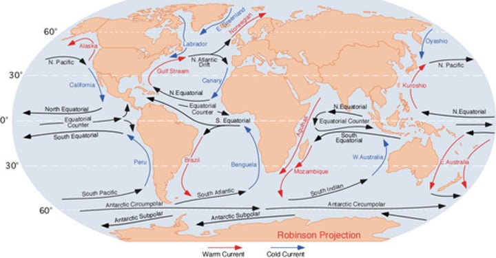 <p>North Atlantic Gyre</p>