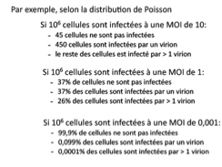 <p>La loi de Poisson = la probabilité qu’une cellule soit infectée par 1,2,3,4 … virions</p>