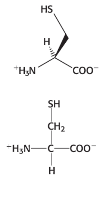 <p>Category: Polar neutral </p>