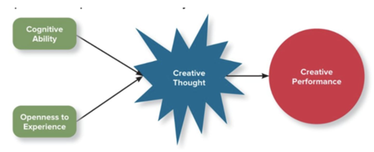 <p>cognitive ability + openness to experience -> creative thought -> creative performance</p>