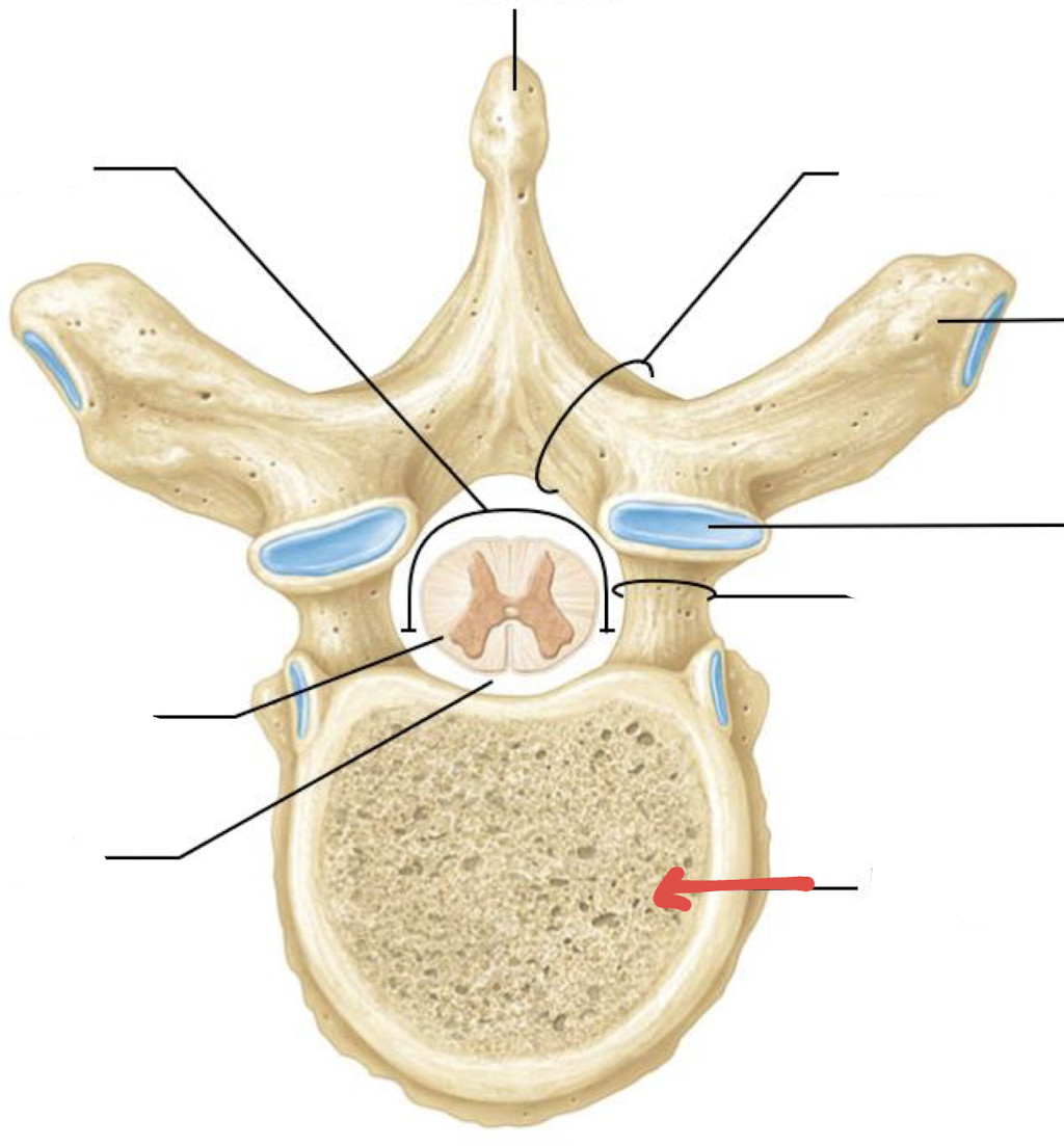 <p>what is this?</p>