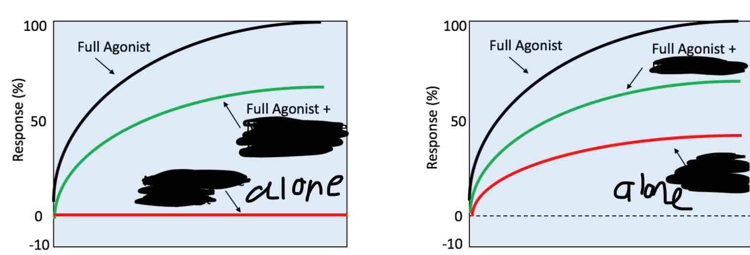 <p>The following illustrates the effect of a ____________ ____________ on the efficacy of a full agonist (which is left vs right) </p>