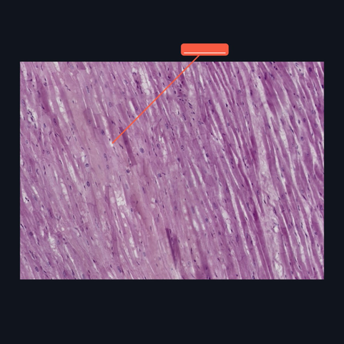 <p>Identify the structure</p>