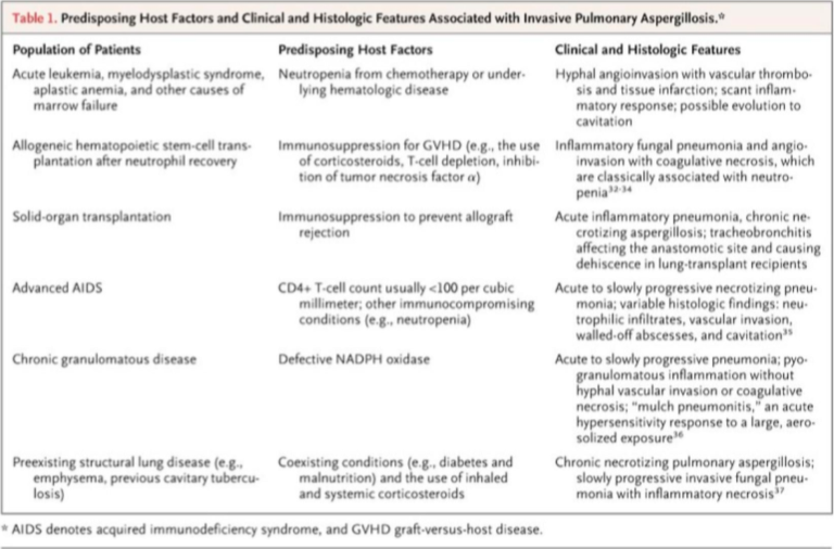Is detrimental to immunocompromised individuals; risk factors in image