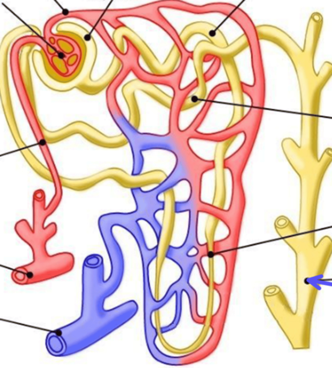 <p>What is the arrow pointing at?</p>