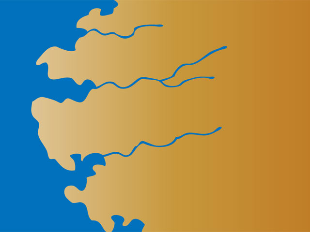 <p>tip obale, ki poteka prečno na slemenitev in je primeren za poslitev, plovbo, turizem in pristanišča</p><p></p><p>npr. slovenska obala, obala Galicije, JZ obala Irske,…</p>