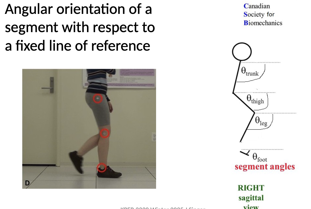 <ul><li><p>Angular orientation of a segment with respect to a fixed line of reference.</p></li></ul><p></p>