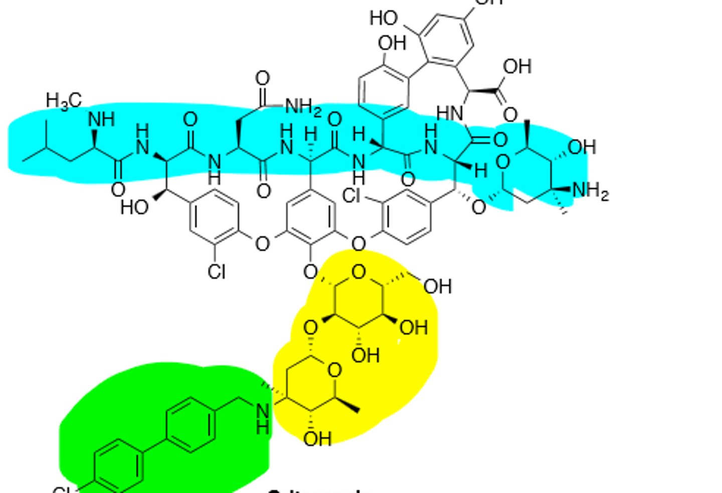 <p>Lipoglycopeptide, inhibits transpeptidation and transglycosylation, inhibits gram (+) bacteria, including MRSA. Extremely long half life (245 hrs)</p>