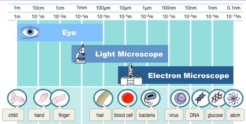 microscope viewing ranges