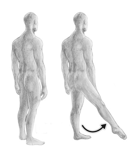 <p>What is the normal range of motion for this action?</p><p><span><span>A) 20 degrees</span></span></p><p><span><span>B) 40 degrees</span></span></p><p><span><span>C) 75 degrees</span></span></p><p><span><span>D) 15 degrees</span></span></p>