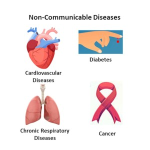 <p><strong><mark data-color="#3fb317" style="background-color: #3fb317; color: inherit">Communicable (Infectious) diseases </mark></strong><span data-name="microbe" data-type="emoji">🦠</span> </p><p>Diseases caused by <strong><em>pathogens</em></strong>, meaning they can spread from infected people to non-infected people<br><br>Ex. Cholera, Malaria, Tuberculosis, HIV/AIDS</p><p></p><p><strong><mark data-color="#3fb317" style="background-color: #3fb317; color: inherit">Non-Communicable (Infectious) diseases </mark></strong></p><p> Diseases that are<strong> not </strong>caused by <strong><em>pathogens, </em></strong>and instead are a result of genetic disorders, deficiencies, lifestyle choices or other environmental factors</p><p>Ex. Lung Cancer, Cardiovascular disease, sickle cell anemia, malnutrition</p>