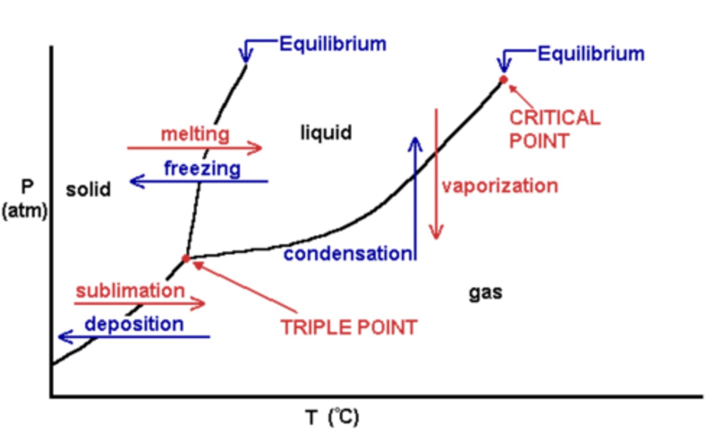 <p>- a graph of pressure versus temperature that shows which phase a substance exists in under different conditions of temperature and pressure</p><p>- a triple point will exist where all 3 line segments intersect; this is the only combination of temperatures and pressures that allow all three phases to exist simultaneously</p><p>- critical temperature: the temperature above which a substance cannot exist as a liquid</p><p>- critical pressure: the pressure needed to liquefy a gas at its critical temperature</p><p>- critical point: the combination of critical temperature and critical pressure</p>