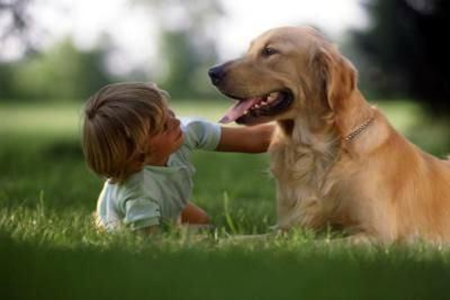 <p>AND (FULL BREASTED) COMPANIONS OF EQUAL AGE</p>
