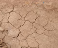 Causes of the Dust Bowl