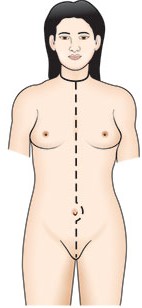 **Autopsy Techniques**

\
\
